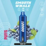 Best SMOOTH Whale Disposable 12000 Puffs - Image 5