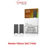 Autumn Tobacco Juul 2 Pods
