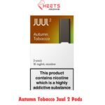 Blackcurrant Tobacco Juul 2 Pods (1)