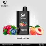 Silvaper 24000 Puffs Disposable Vape In UAE - Image 9